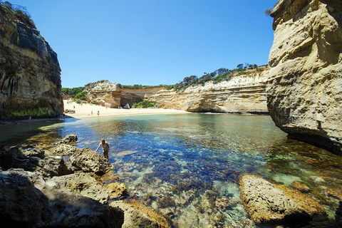 Small-Group Great Ocean Road And 12 Apostles Full-Day Tour From Melbourne - Accommodation Whitsundays 5