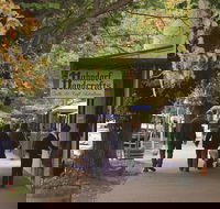 Adelaide Highlights Hahndorf  McLaren Vale Wine Tasting and Sightseeing Tour - Accommodation Whitsundays