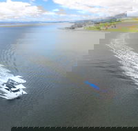 2.5 hour Afternoon Discovery Cruise including Cataract Gorge departs at 1 30 pm - Accommodation Whitsundays