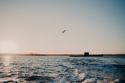 Phillip Island Twilight Cruise - Accommodation Whitsundays 1