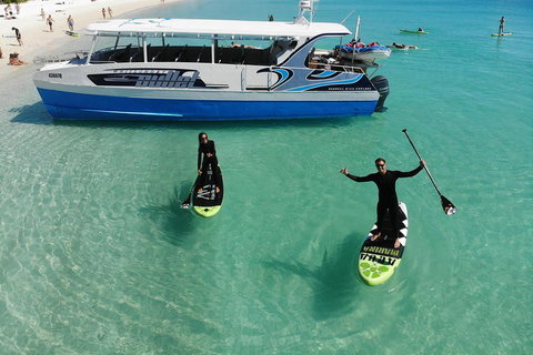 Whitsunday Bullet Day Trip - Whitehaven Beach And Snorkelling - Accommodation Whitsundays 4