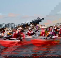 Brisbane River Guided Evening Tour by Kayak - Our Most Popular Tour - Accommodation Whitsundays