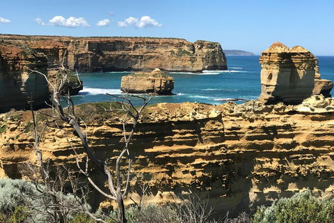 Great Ocean Road Reverse Itinerary Tour - Accommodation Whitsundays 1
