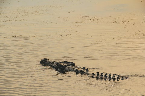 Yellow Water Cruise - Kakadu - Accommodation Whitsundays 2