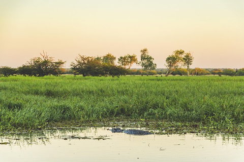 Yellow Water Cruise - Kakadu - Accommodation Whitsundays 3