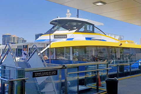 Brisbane City Essentials Walking Tour - Accommodation Whitsundays 3