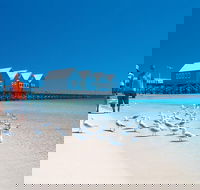 Margaret River and Geographe Bay Region Day Trip from Perth - Accommodation Whitsundays