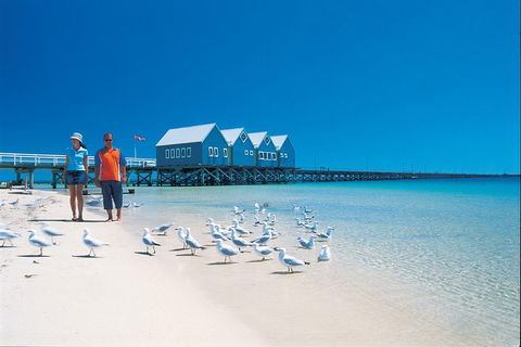 Margaret River And Geographe Bay Region Day Trip From Perth - Accommodation Whitsundays 0