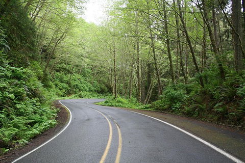 Great Ocean Road Highlights Tour - 2 Days, 1 Night - Accommodation Whitsundays 4