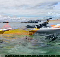 Seal Island and Penguin Island or Point Peron Sea Kayak Tour - Accommodation Whitsundays