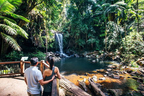 Aquaduck & Your Choice Of Gold Coast Rainforest Tour - Accommodation Whitsundays 0
