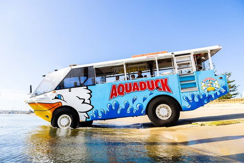 Aquaduck & Your Choice Of Gold Coast Rainforest Tour - Accommodation Whitsundays 3