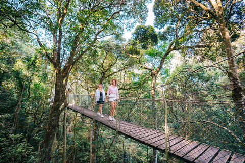 Aquaduck & Your Choice Of Gold Coast Rainforest Tour - Accommodation Whitsundays 4