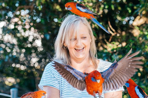 Aquaduck & Your Choice Of Gold Coast Rainforest Tour - Accommodation Whitsundays 5