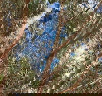 Kangaroo Island 4WD Tour - Best of KI in 2 Days - Accommodation Whitsundays