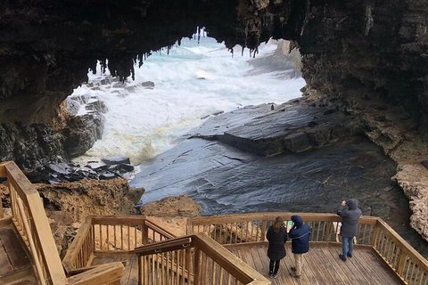 Kangaroo Island 4WD Tour - Best Of KI - Accommodation Whitsundays 1