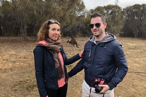 Kangaroo Island 4WD Tour - Best Of KI - Accommodation Whitsundays 3