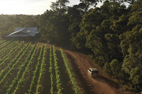 The All About Margaret River Tour: Wine, Coffee, Lunch And Forest - Accommodation Whitsundays 1