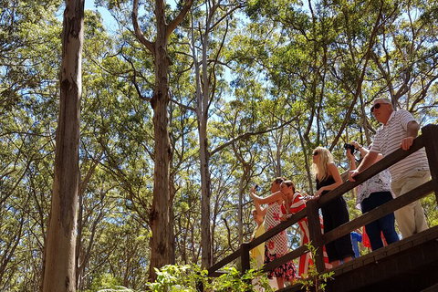 The All About Margaret River Tour: Wine, Coffee, Lunch And Forest - Accommodation Whitsundays 3
