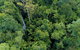 Natural Bridge, Skywalk And Mt Tamborine Adventure! - thumb 2
