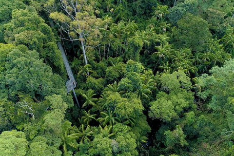 Natural Bridge, Skywalk And Mt Tamborine Adventure! - Accommodation Whitsundays 2