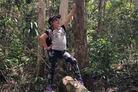 Natural Bridge, Skywalk And Mt Tamborine Adventure! - Accommodation Whitsundays 3