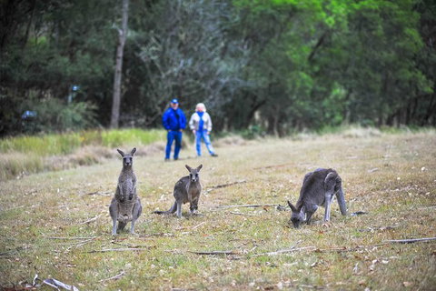 Blue Mountains Private Tour From Sydney - Accommodation Whitsundays 2