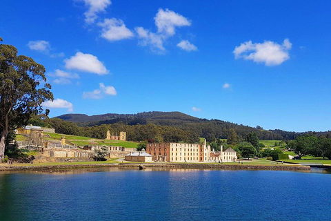 Tasmania 4 Day East Coast + Launceston - Accommodation Whitsundays 0