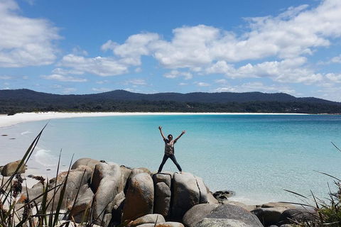 Tasmania 4 Day East Coast + Launceston - Accommodation Whitsundays 1