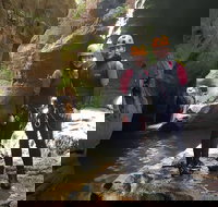 Blue Mountains Empress Canyon Adventure from Wentworth Falls - Accommodation Whitsundays