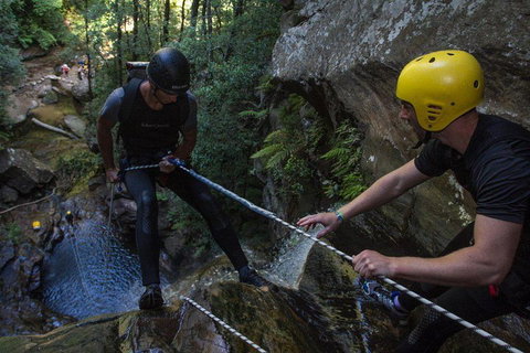 Blue Mountains Empress Canyon Adventure From Wentworth Falls - Accommodation Whitsundays 2
