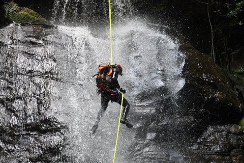 Blue Mountains Empress Canyon Adventure From Wentworth Falls - Accommodation Whitsundays 3