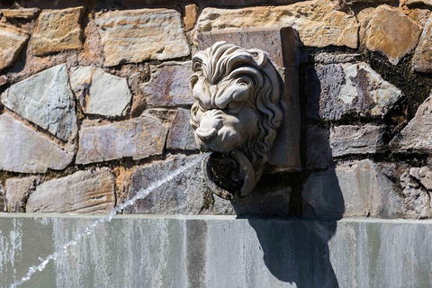 Adelaide 90-Minute Pedicab Tour: Scenic Green & River Experience - Accommodation Whitsundays 3