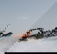 Adventure Whale Watching Tour Mooloolaba - Accommodation Whitsundays