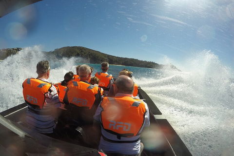 Noosa Thriller - 500hp Ocean Adventure Ride - Accommodation Whitsundays 3