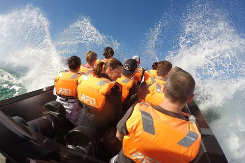 Noosa Thriller - 500hp Ocean Adventure Ride - Accommodation Whitsundays 4