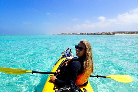 Lagoon Explorer - Ningaloo Reef Full-Day Kayaking And Snorkeling Adventure - Accommodation Whitsundays 1