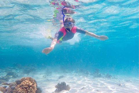 Lagoon Explorer - Ningaloo Reef Full-Day Kayaking And Snorkeling Adventure - Accommodation Whitsundays 5
