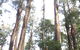 [Private Tour] Healesville Sanctuary Wildlife & Puffing Billy Steam Train - thumb 1
