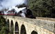 [Private Tour] Healesville Sanctuary Wildlife & Puffing Billy Steam Train - thumb 2