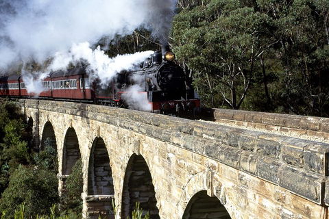 [Private Tour] Healesville Sanctuary Wildlife & Puffing Billy Steam Train - Accommodation Whitsundays 2
