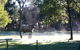 [Private Tour] Healesville Sanctuary Wildlife & Puffing Billy Steam Train - thumb 4