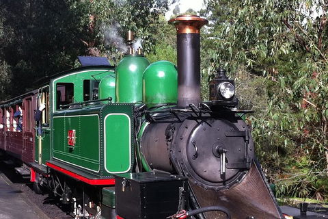 [Private Tour] Healesville Sanctuary Wildlife & Puffing Billy Steam Train - Accommodation Whitsundays 5