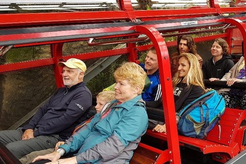 Blue Mountains Ultimate One-Day Tour - Accommodation Whitsundays 0