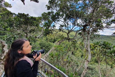 Lamington National Park, O'Reilly's & Vineyard Tour - Accommodation Whitsundays 1