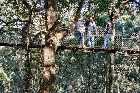 Lamington National Park, O'Reilly's & Vineyard Tour - Accommodation Whitsundays 2