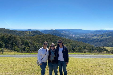 Lamington National Park, O'Reilly's & Vineyard Tour - Accommodation Whitsundays 3