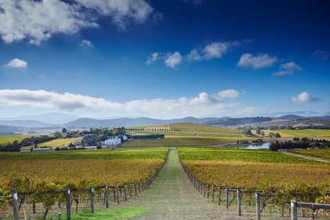 Yarra Valley Wine And Wildlife Self-Driving Tour - Accommodation Whitsundays 1