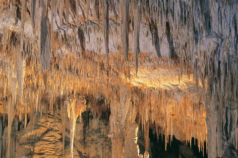 Margaret River, Caves, Wine And Cape Leeuwin Lighthouse Tour From Perth - Accommodation Whitsundays 3