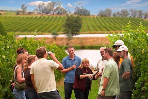 Yarra Valley Balloon Flight And Winery Tour - Accommodation Whitsundays 4